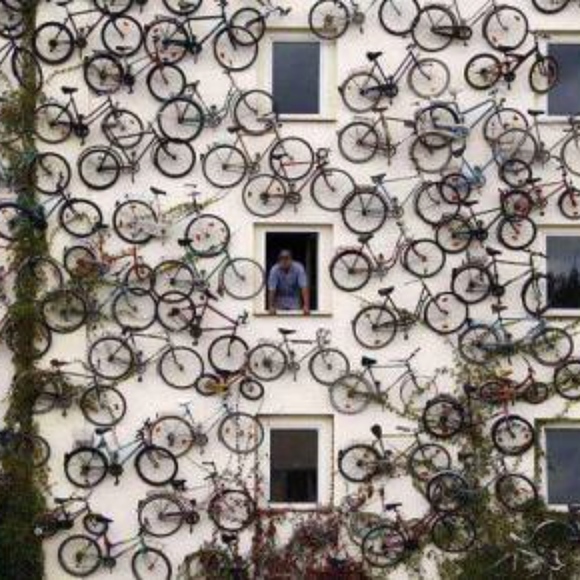 Meet your Posher, Susan - Picture 7 of 8